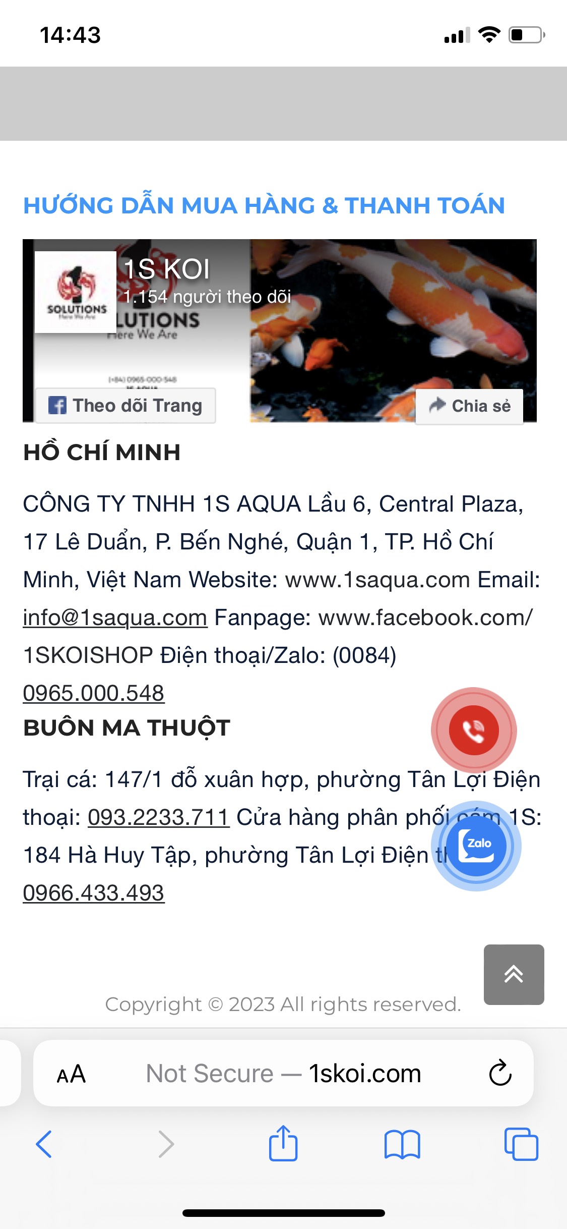 Cho cá ăn bên hồ